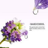 Derma Cure 1.2% Pure Bakuchiol Serum – Retinol Alternative for Anti-Aging & Skin Renewal