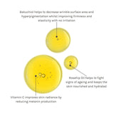 Derma Cure 2% Bakuchiol Facial Oil – Natural Retinol Alternative for Smooth, Radiant Skin